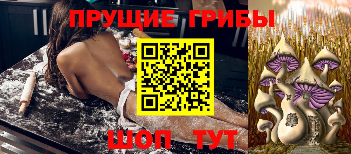 Осинники  Псилоцибиновые грибы мицелий  Вход с VPN 
